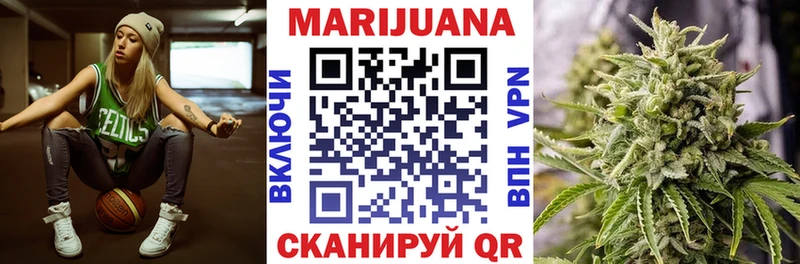 Купить где  Покачи  Бошки Шишки план 